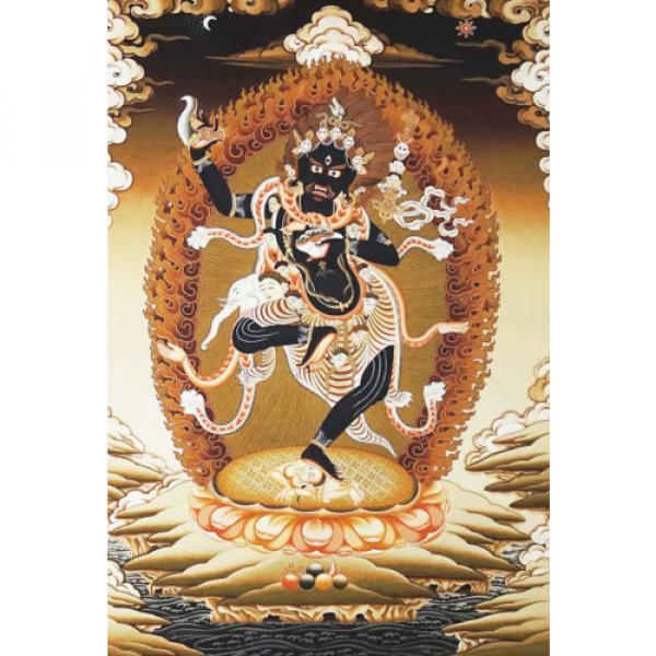 32 Inch Tibet Buddhist Thangka Wrathful Vajra Goddess Dakini Black Vajravarahi #1 image