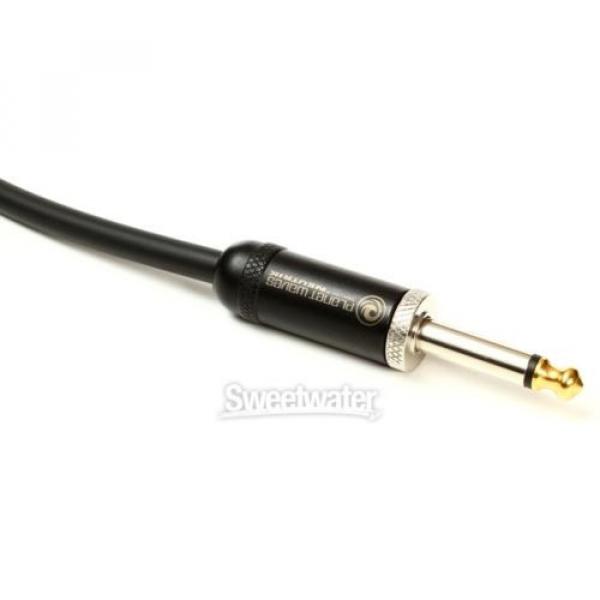 Planet Waves American Stage Instrument Cable - 10&#039; #3 image