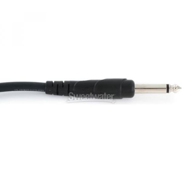 Planet Waves 10&#039; Classic Series Instrument Cable #3 image