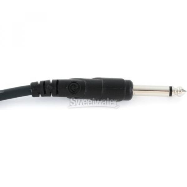 Planet Waves 10&#039; Classic Series Instrument Cable #4 image