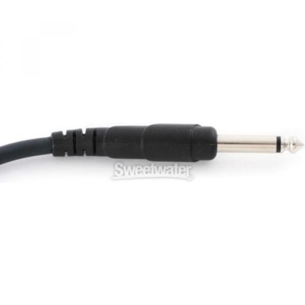 Planet Waves PW-CGTP-01 Classic Series Patch Cable #4 image