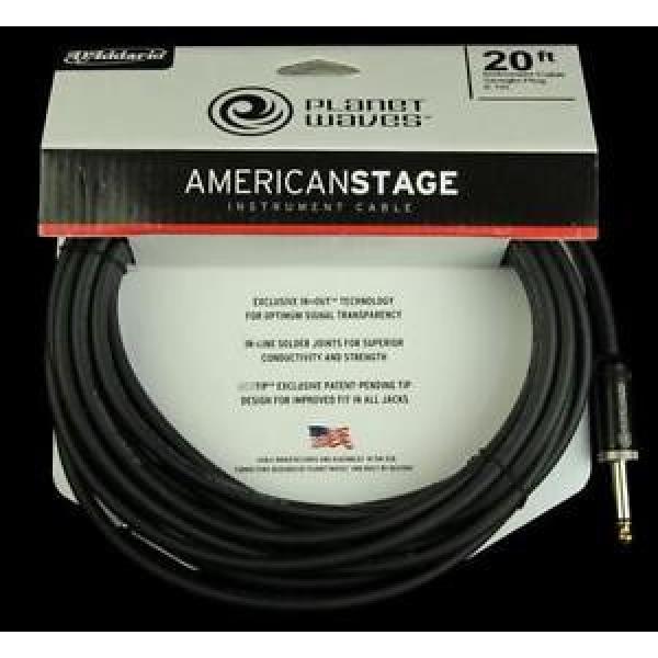 Planet Waves American Stage Instrument Cable (20 Foot) #1 image