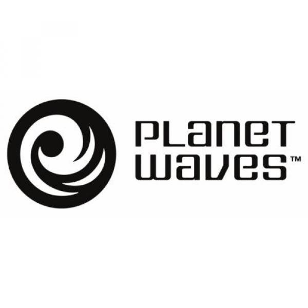 Planet Waves 20ft Classic Series 1/4&#034; Mono Instrument Cable (PW-CGT-20) #2 image